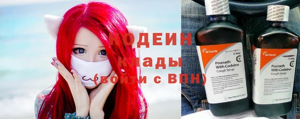 прущие крисы Балахна