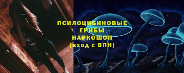 прущие крисы Балахна