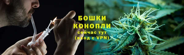 дживик Белоозёрский