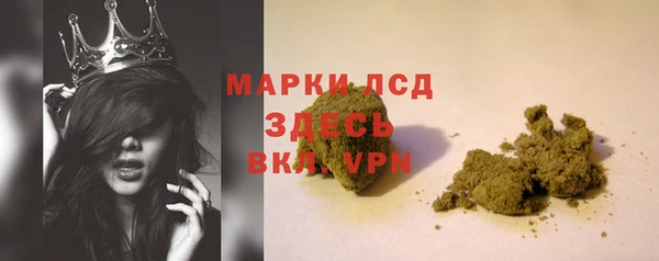 сатива Беломорск