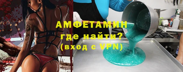 шишки Белокуриха