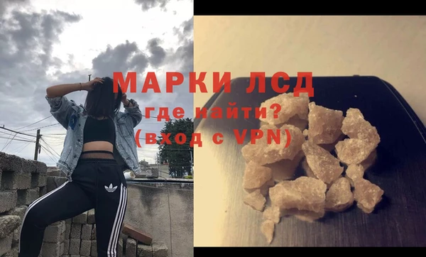 шишки Белокуриха