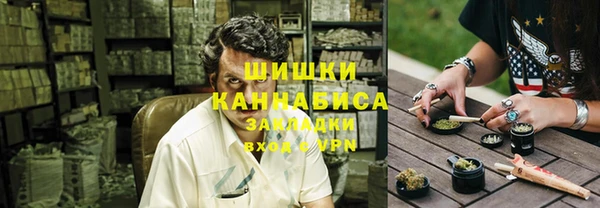 сатива Беломорск