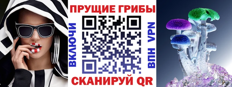 Псилоцибиновые грибы Psilocybe Верея